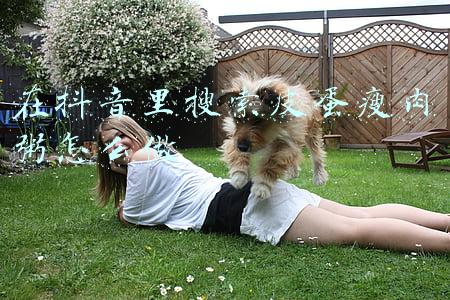 在抖音里搜索皮蛋瘦肉粥怎么做