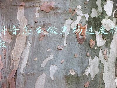 抖音怎么做黑场过度特效