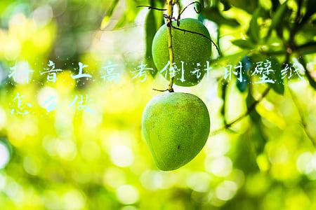 高考倒计时动态壁纸(「壁纸」 高考倒计时 平心静气 金榜题名)