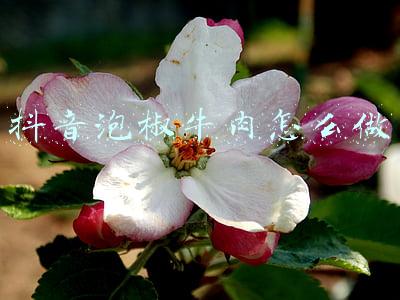抖音牛肉的做法(比李佳琦还牛的“抖音带货王”？正善牛肉哥到底是怎么火起来的？)