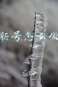 赛尔号做任务送精灵(赛尔号：登录器在页游有多牛？第三方软件出问题官方居然给补偿)