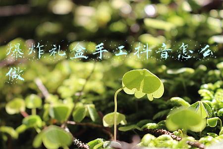 爆炸礼盒手工抖音怎么做