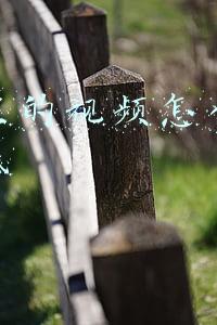 抖音里的视频怎么提取原视频(教你如何一键批量去水印下载抖音火山版的作者全部视频到本地)