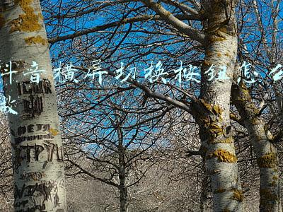 抖音横屏切换按钮怎么做