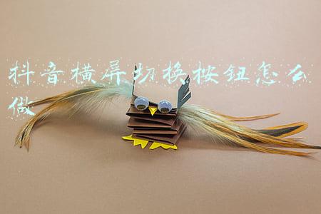 抖音横屏切换按钮怎么做