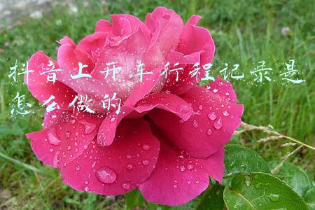 滴滴行程记录如何删除(滴滴行程记录怎么删除)