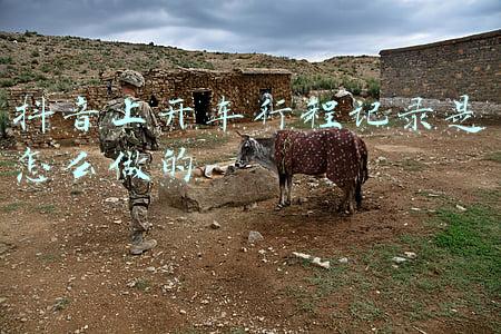 迈方行程记录仪(无屏，1944P高清，远程看车！实测70迈M500行车记录仪)
