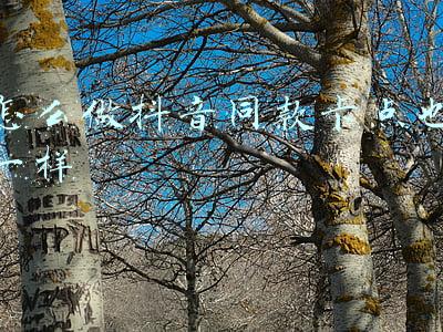 抖音视频卡点怎么做(抖音拍视频有什么卡点技巧)