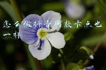收到税点款怎么做账(客户代开票公司承担税点怎么做账？)