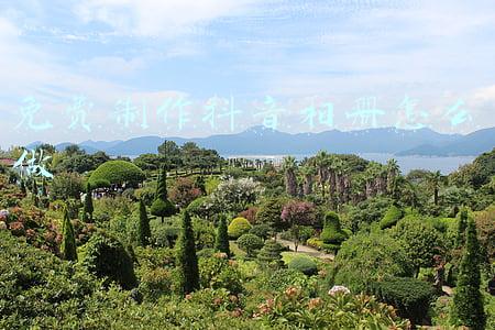 可以制作抖音相册的软件有哪些(抖音老照片修复软件是什么 如何让老照片动起来 Myheritage怎么注册)
