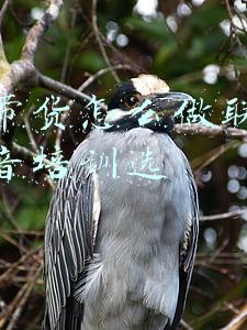 小七支付(【教育整顿•我为群众办实事】德令哈公安：“小七反诈”微信预警程序筑牢防骗“铜墙铁壁”)