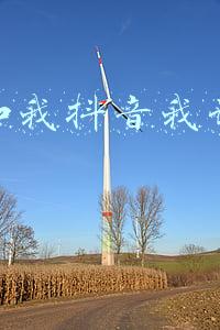 当小三怎么了,反正我爱他,他也爱我,那个抖音怎么拍(他即爱你，他也爱我，一个插足别人家庭的小三，到底有多恬不知耻)