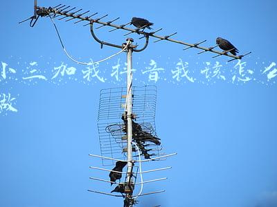 婚姻有小三我该怎么办(婚姻后“第三者”出现，该如何解决呢？)