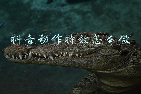 抖音抖动特效怎么弄(Pr镜头抖音摇晃缩放冲击预设！剪辑师做特效加分大招)