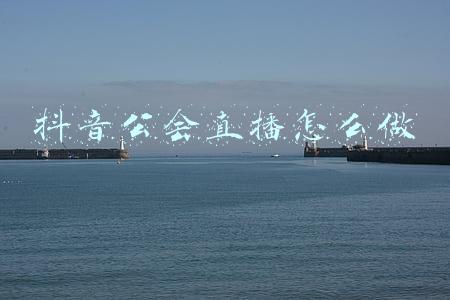 怎么加入抖音直播公会(抖音直播公会申请流程)