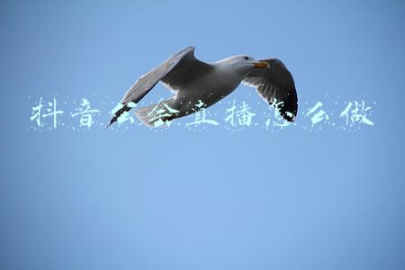 抖音直播传奇公会(详细介绍抖音公会入驻流程)