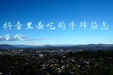 抖音里面吃的牛蹄筋怎么做