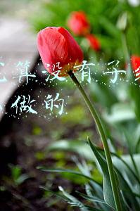 抖音就算没有了结果视频怎么做的