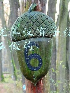 我们之间就算没有明天(分享一首上海滩歌曲就算没有明天)