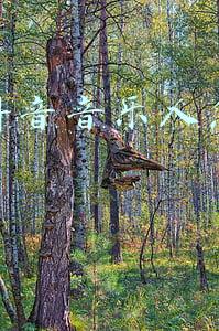 如何做抖音音乐人(抖音音乐人如何认证？一步到位教你如何操作)