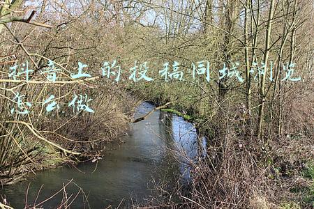 抖音视频投稿怎么投(抖音分享伙伴计划是什么？如何加入？)
