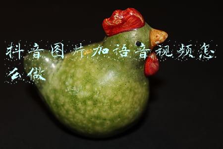 抖音图片加语音视频怎么做