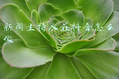 抖音主持人是什么(从冠军到评审，央视主持人王宁在抖音直播：“文学是我生命的底色”)