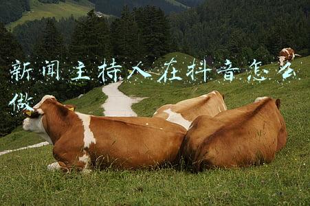 新闻主持人在抖音怎么做