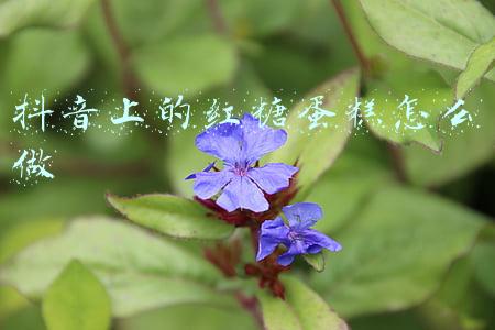 红糖红枣蛋糕的做法(红糖枣蛋糕)