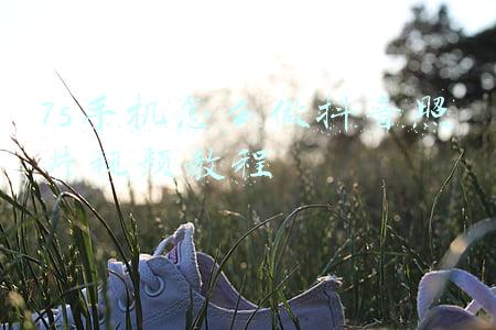 7s手机怎么做抖音照片视频教程