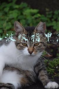 抖音水波纹指甲怎么做