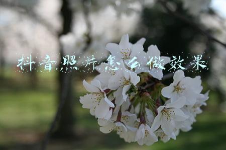 照片怎么做成视频(如果你用的是华为手机，记得打开这个功能，可以把照片制作成视频)