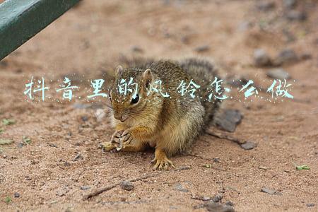 抖音里的风铃怎么做