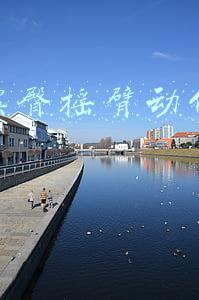 抖音摆臀摇臂动作怎么做