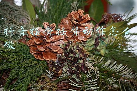 抖音摆臀摇臂动作怎么做