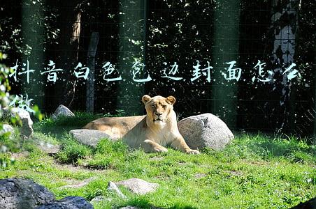 抖音白色包边封面怎么做