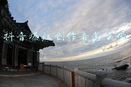 抖音爆红创作者怎么做