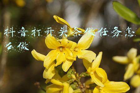 抖音打开头条做任务怎么做