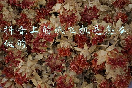 纸上打飞机游戏(一张白纸就能玩的亲子游戏，既提高孩子动手能力又培养创造力)