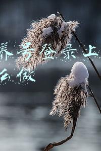 新注册的抖音账号怎么养号(做抖音新号需要养号吗？需要一机一卡一号吗？现在入局晚不晚)