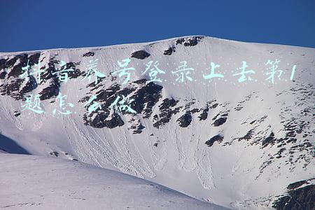 抖音账号管理添加账号(新注册抖音账号想获得高权重，头七天养号很关键)