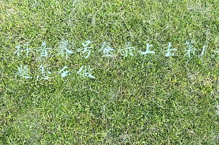 租号玩登录不上去(可任意租借！记者调查“限游令”下的租号灰产)