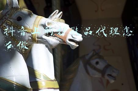 抖音上的护肤品代理怎么做