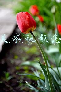 美术教程视频(儿童画教程｜创意写生美术课程《一副羽毛球拍》)