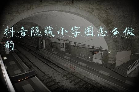 小字生成器(半月谈｜优雅地骂，骂人软件洗白嘴臭？)