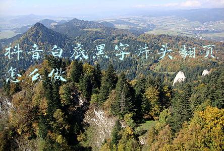 抖音片尾黑白底素材(文字壁纸黑白手写爱情 抖音伤感文字壁纸黑底白字)