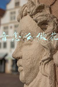 抖音怎么做花盆