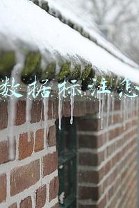 抖音数据标注怎么做