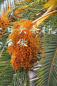 山东临沂的抖音传媒公司(“青春万象·潮趣主播”|5.16海选开始啦 一键开启你的直播人生)