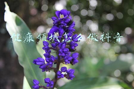 做抖音做什么领域好(什么行业适合做抖音？各领域数据公布)